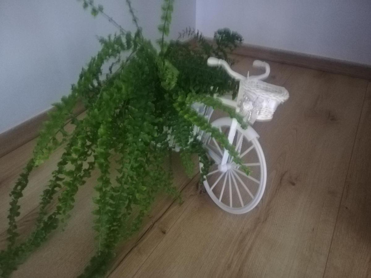 Photo 35