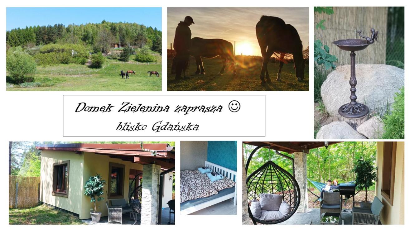 Domek Zielenina