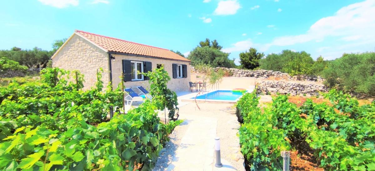 Stone house in vineyard