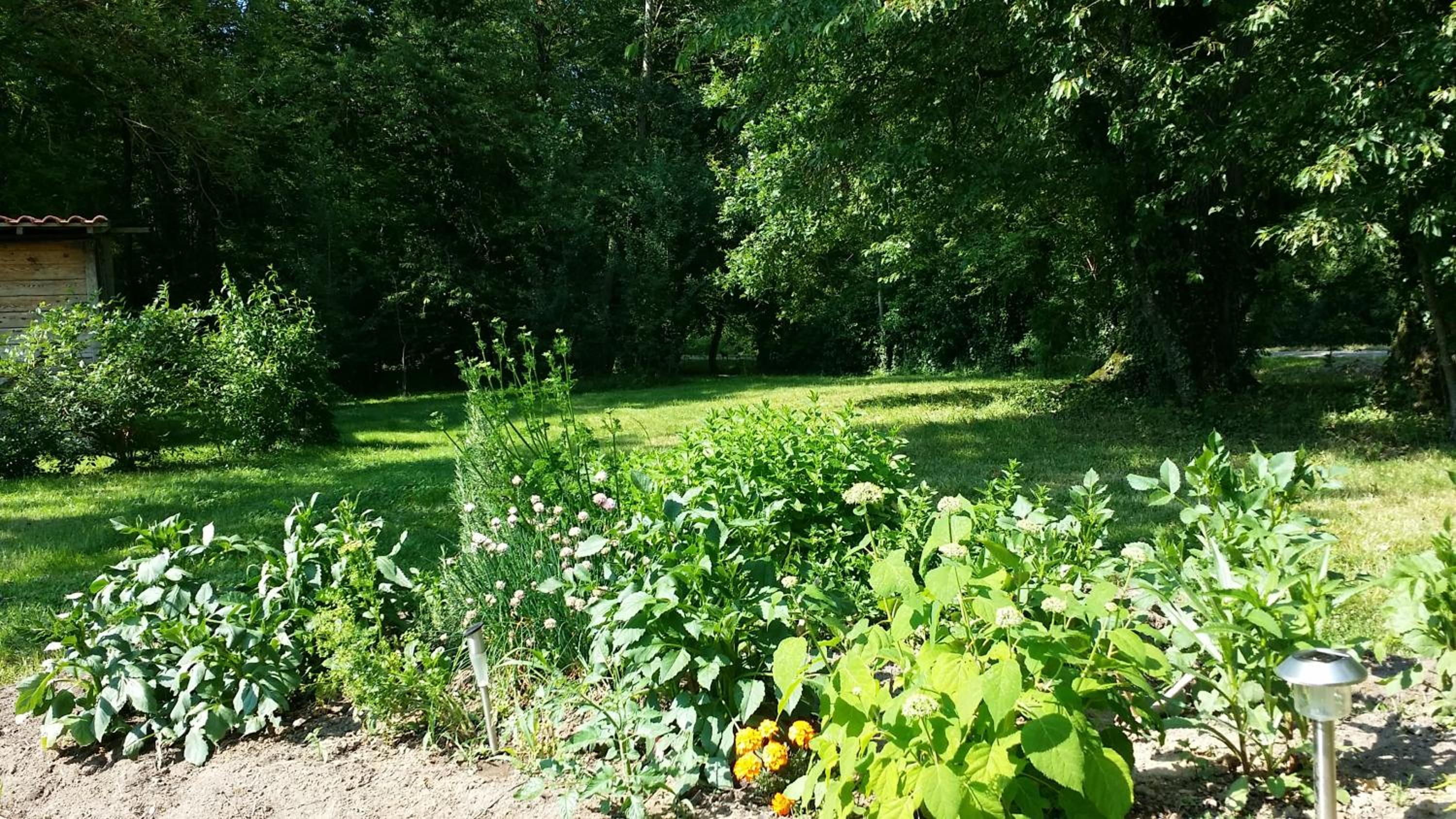 Photo 14