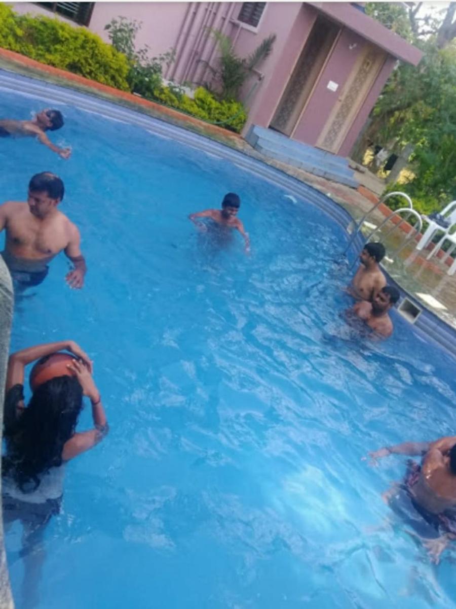 Dolphin resort
