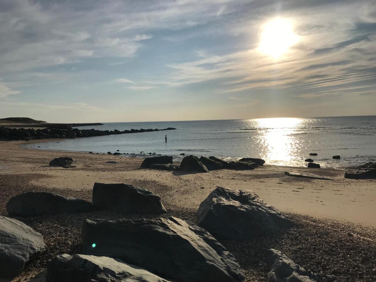 Du sable et des pins