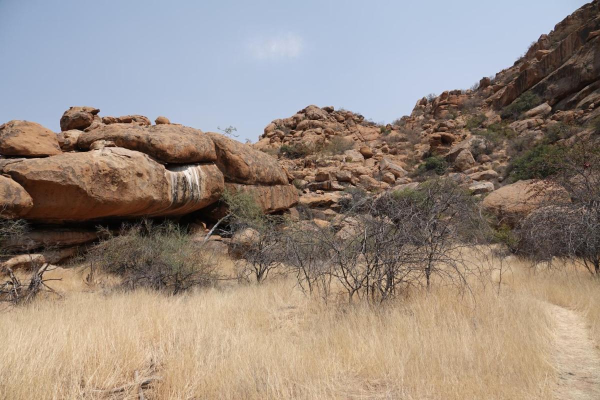 Camp Mara view 4