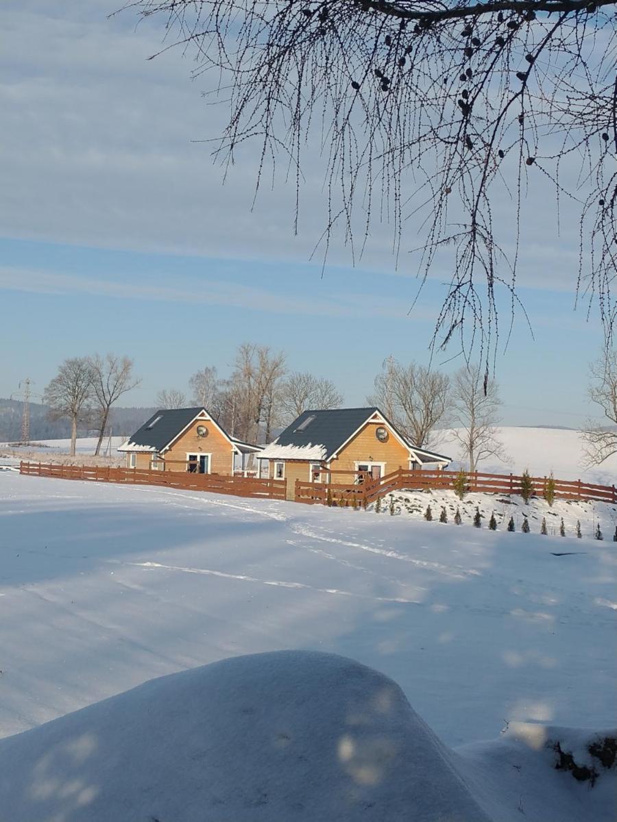 Alicjówka - domek
