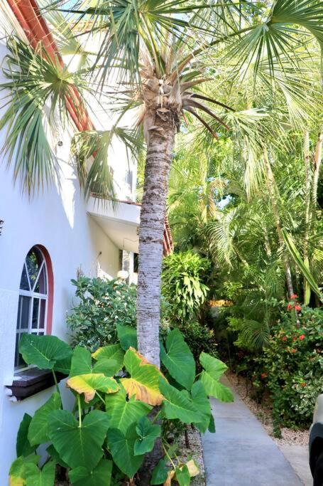 Cozy beach studio, 3 min walking to 5av. and beach - PC8 - view 2