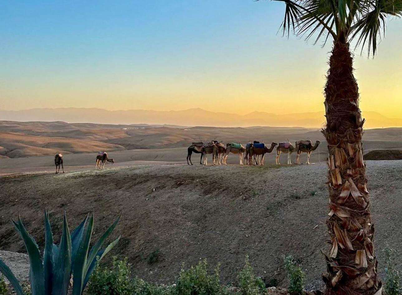 Agafay Luxury camp