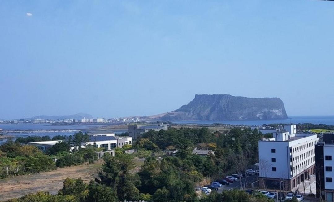 The Best Jeju Seongsan 88