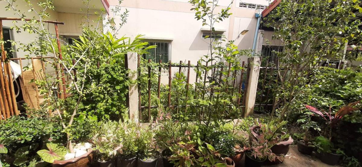 Rutcha Homestay Betong