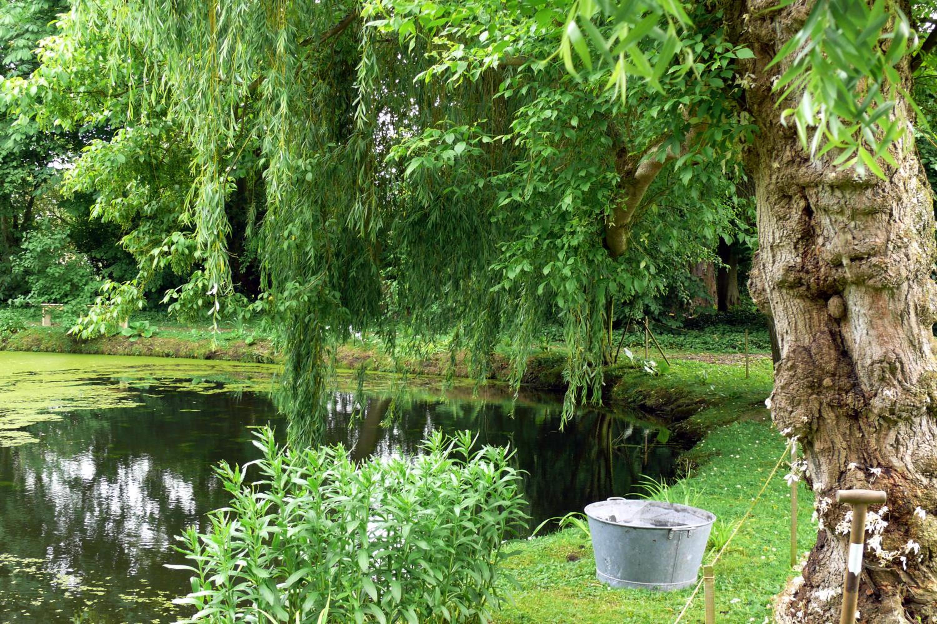 Manoir de la Peylouse