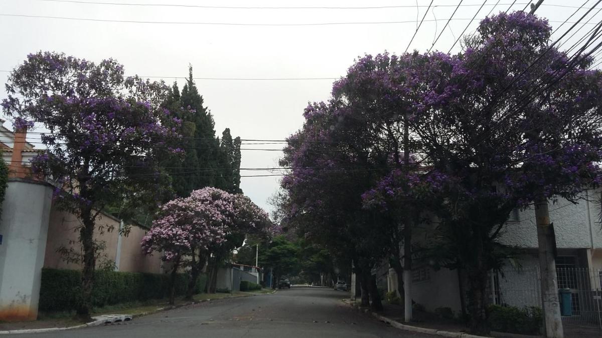 Photo 45