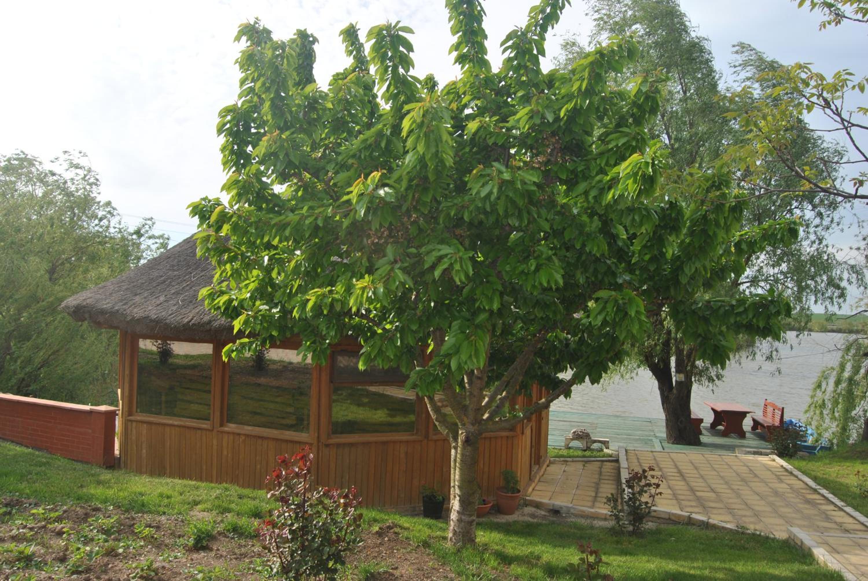 outdoor BBQ area