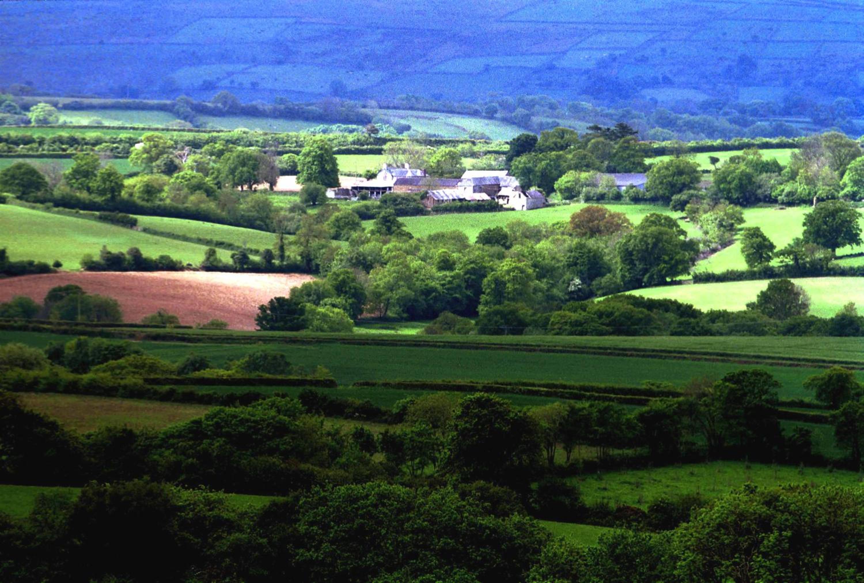 Okehampton Vacations - Lovaton Farmhouse - Property Image 72