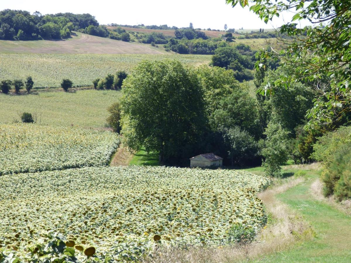 Domaine en castanet