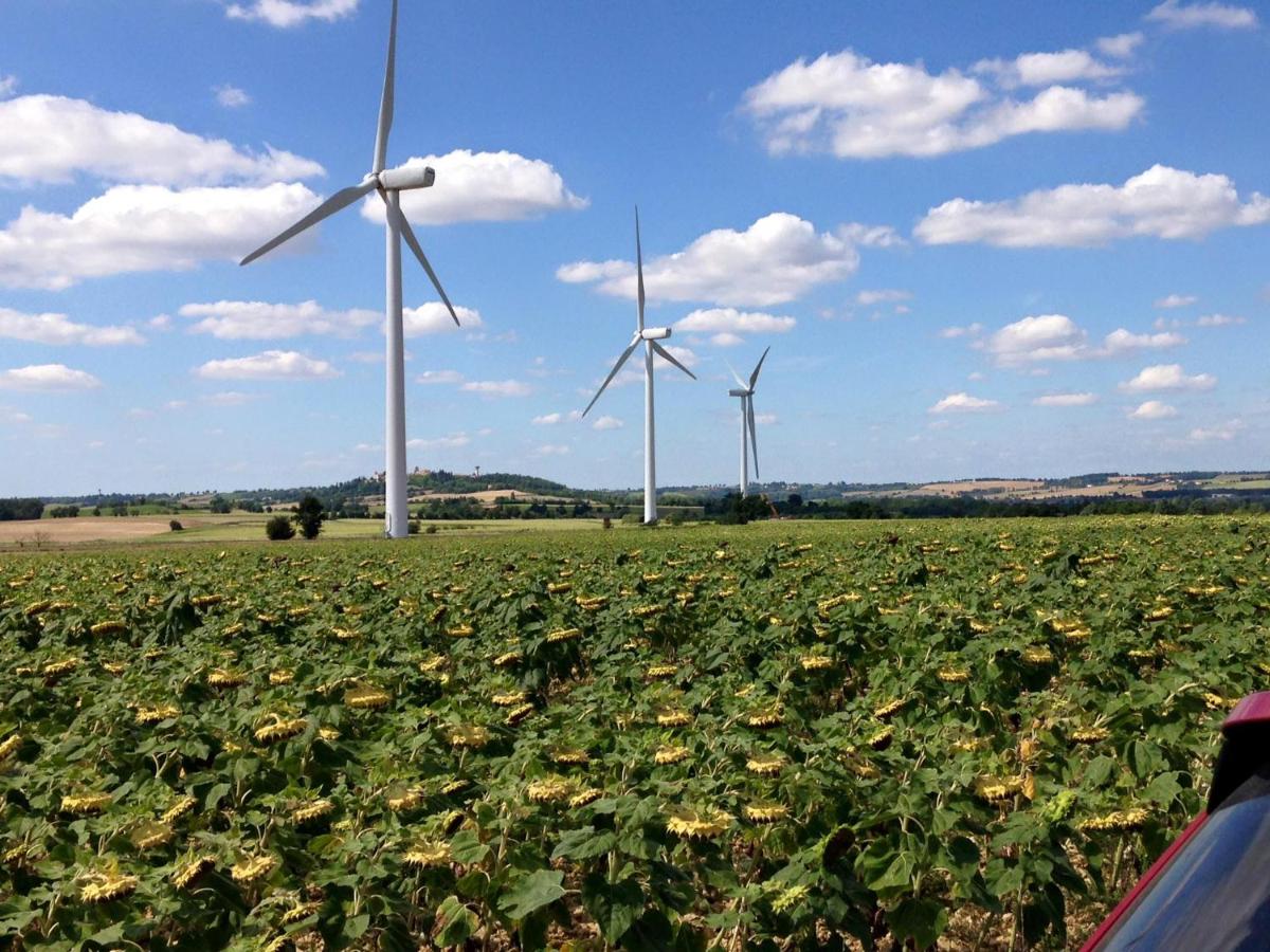 Domaine en castanet