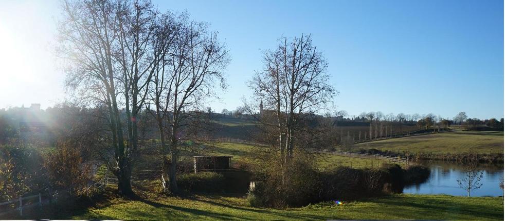 Domaine en castanet