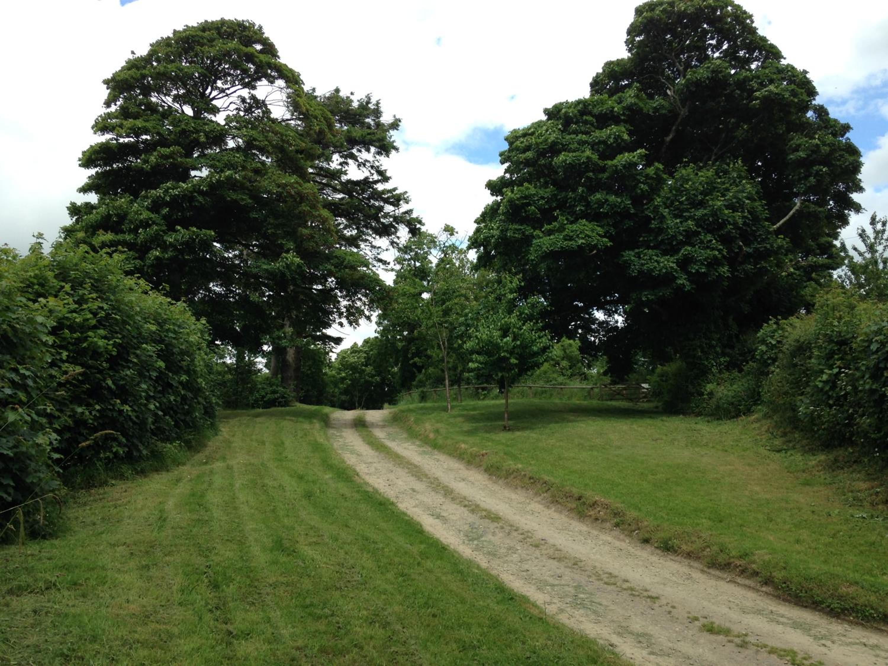 Okehampton Vacations - Lovaton Farmhouse - Property Image 53