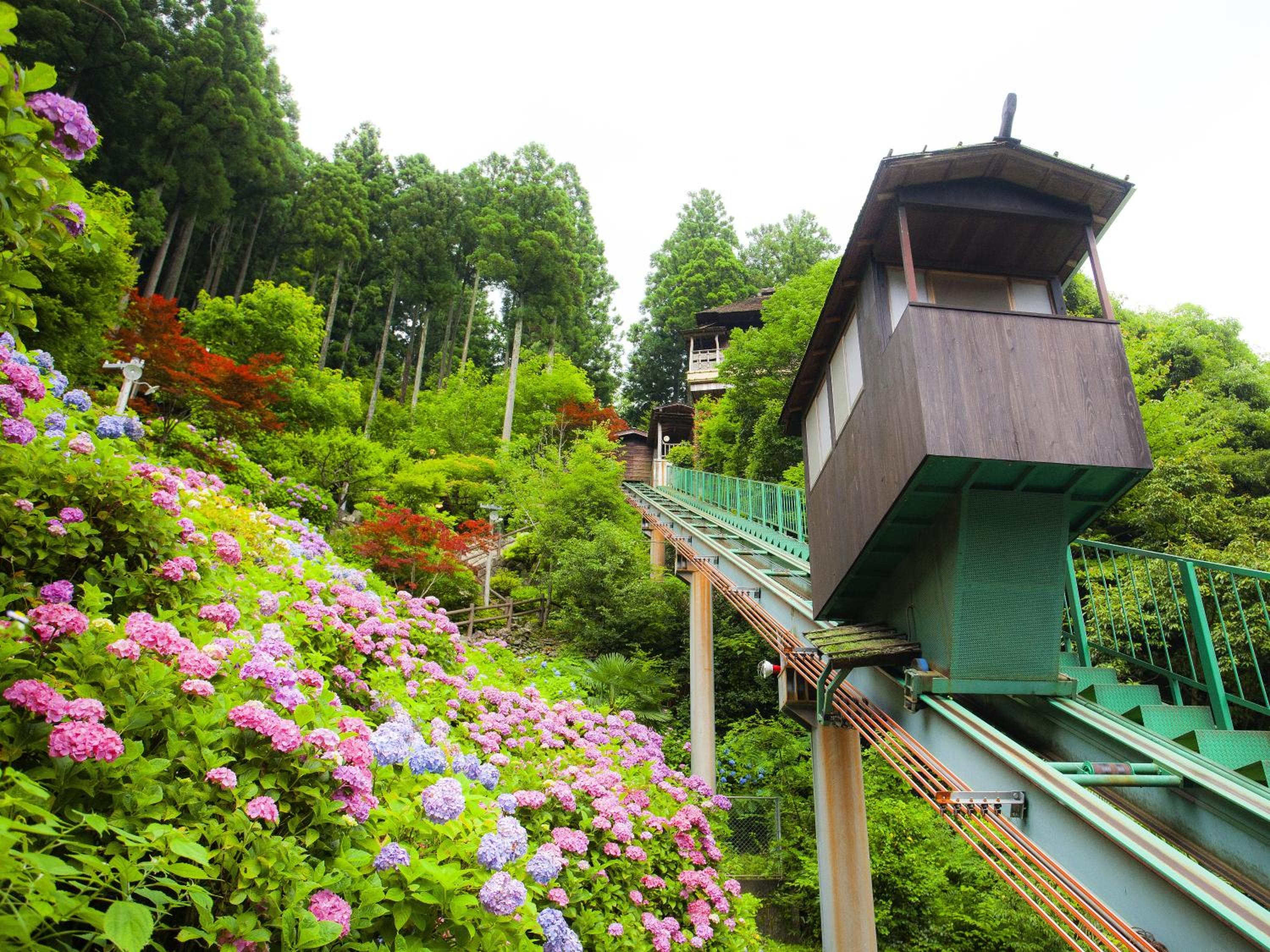 Hotel Kazurabashi 58