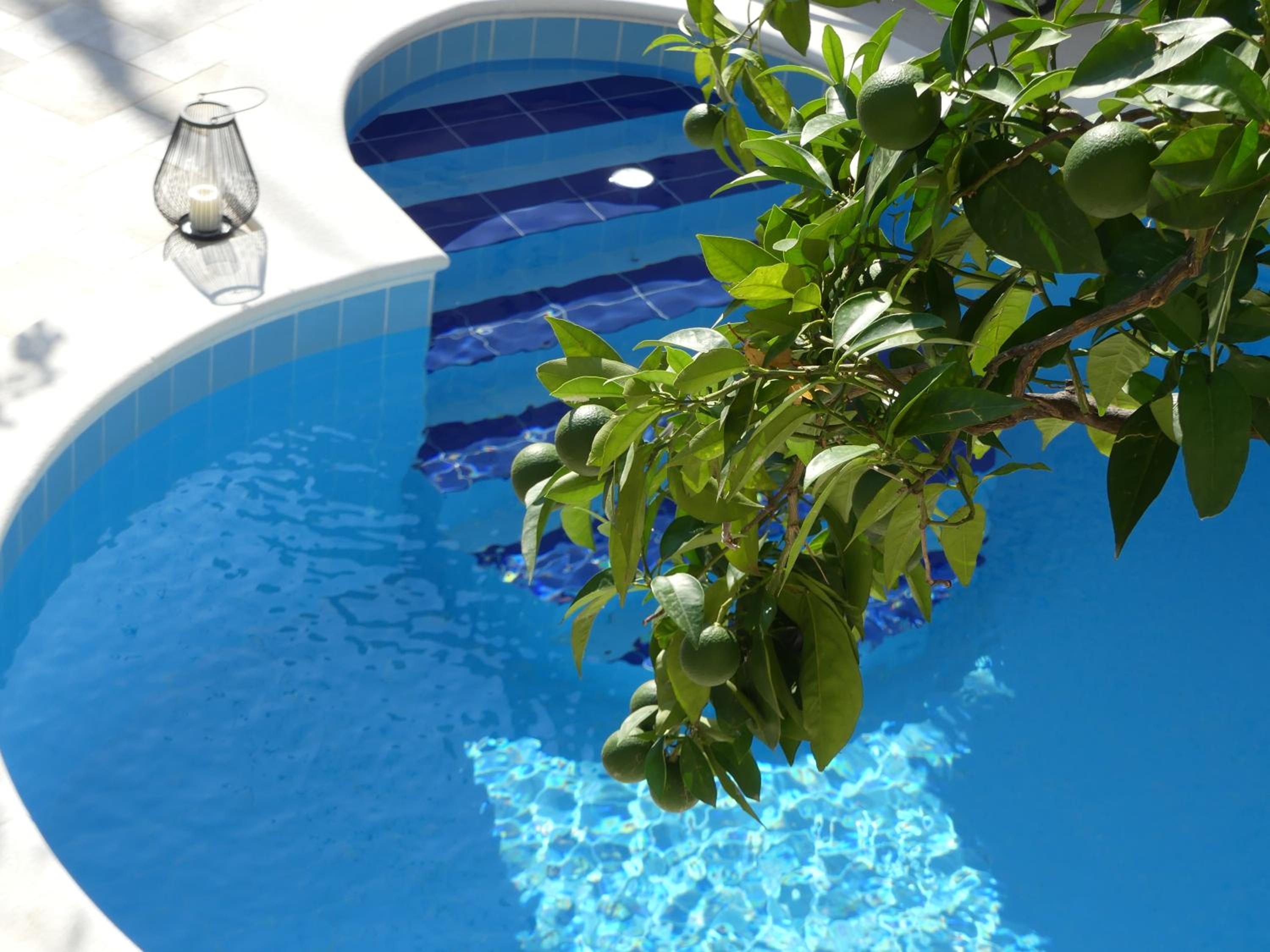 Villa Rose