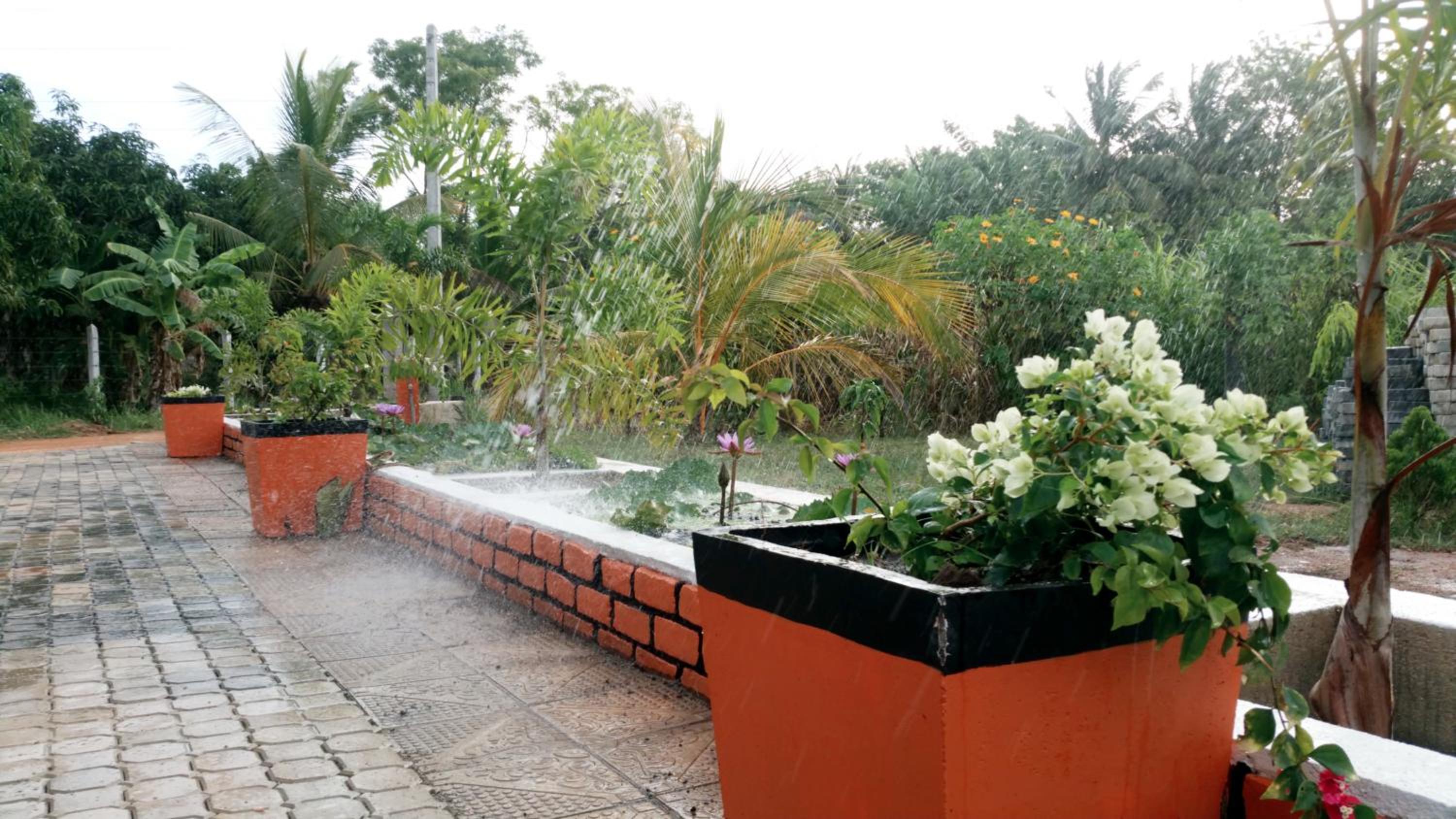 outdoor BBQ area
