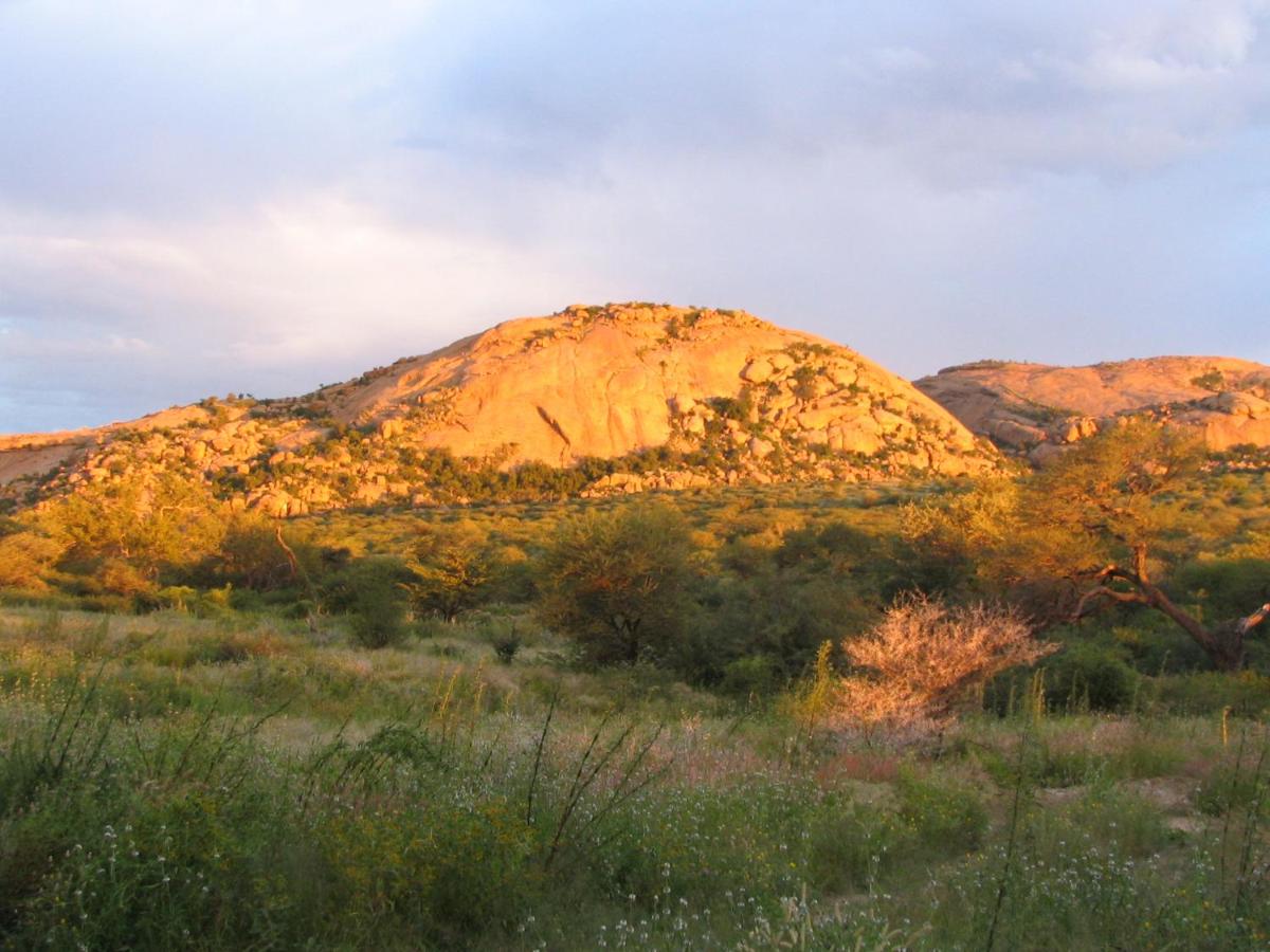 Photo 40
