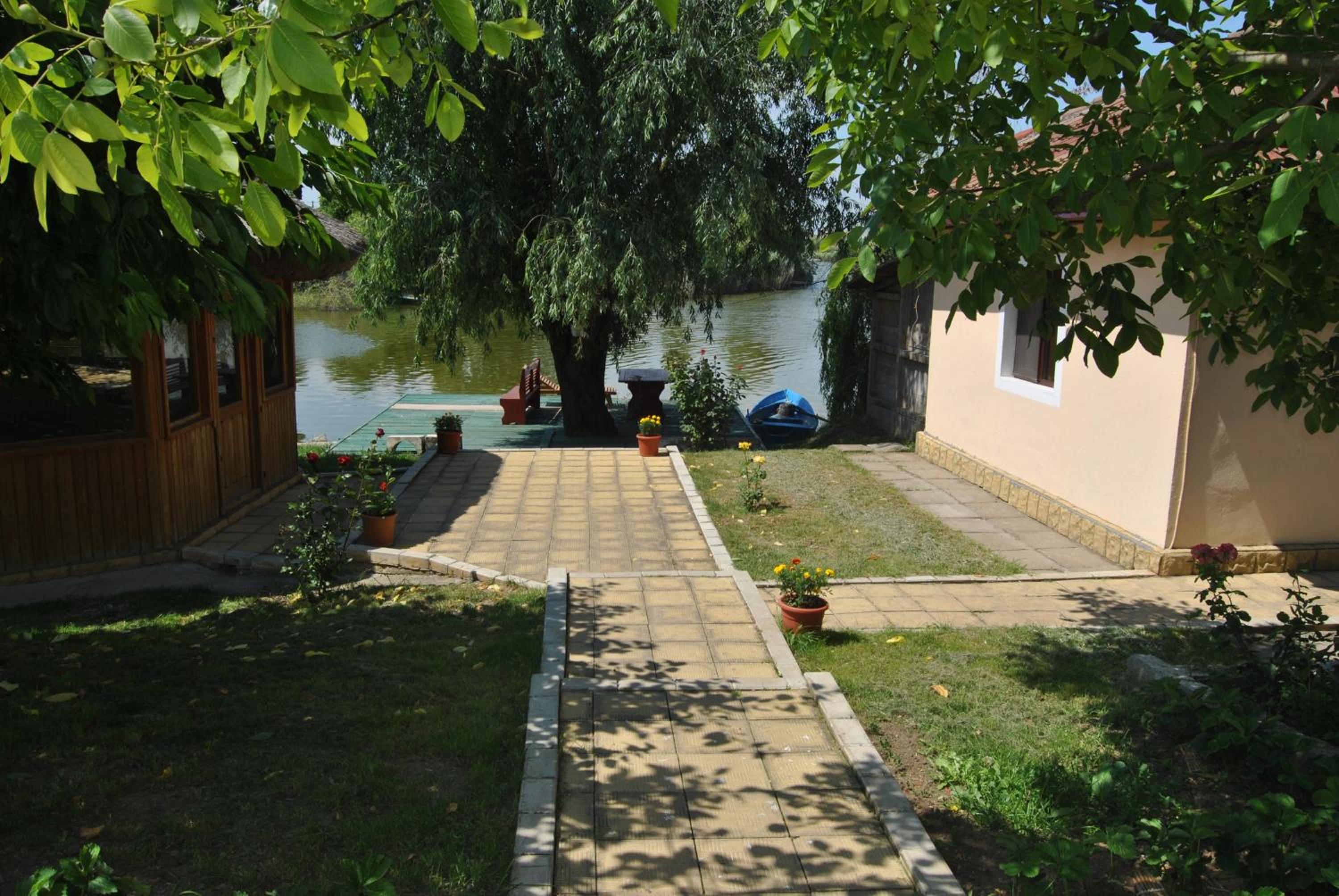 garden