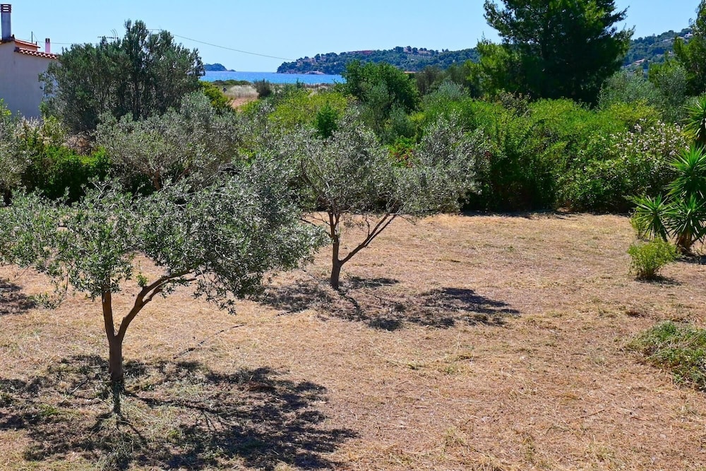 Olive Flavor Sensation Residence photo 2