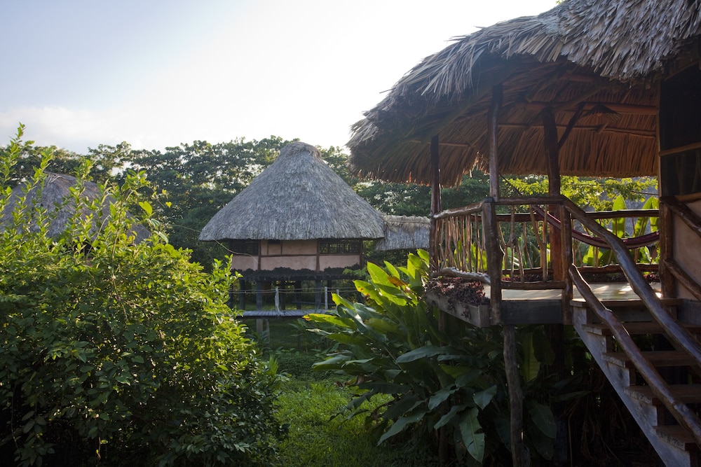 Cotton Tree Lodge - Property Image 38