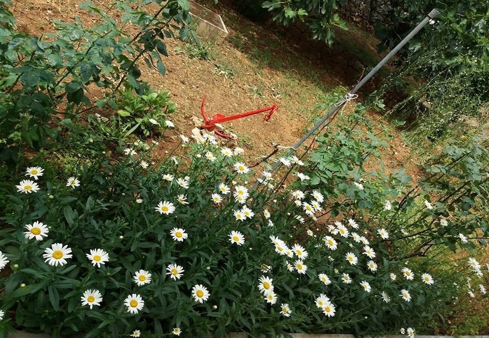 Ruzica - 50 m From sea - A1 Mali