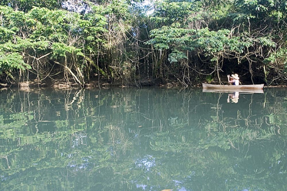 Cotton Tree Lodge - Property Image 1