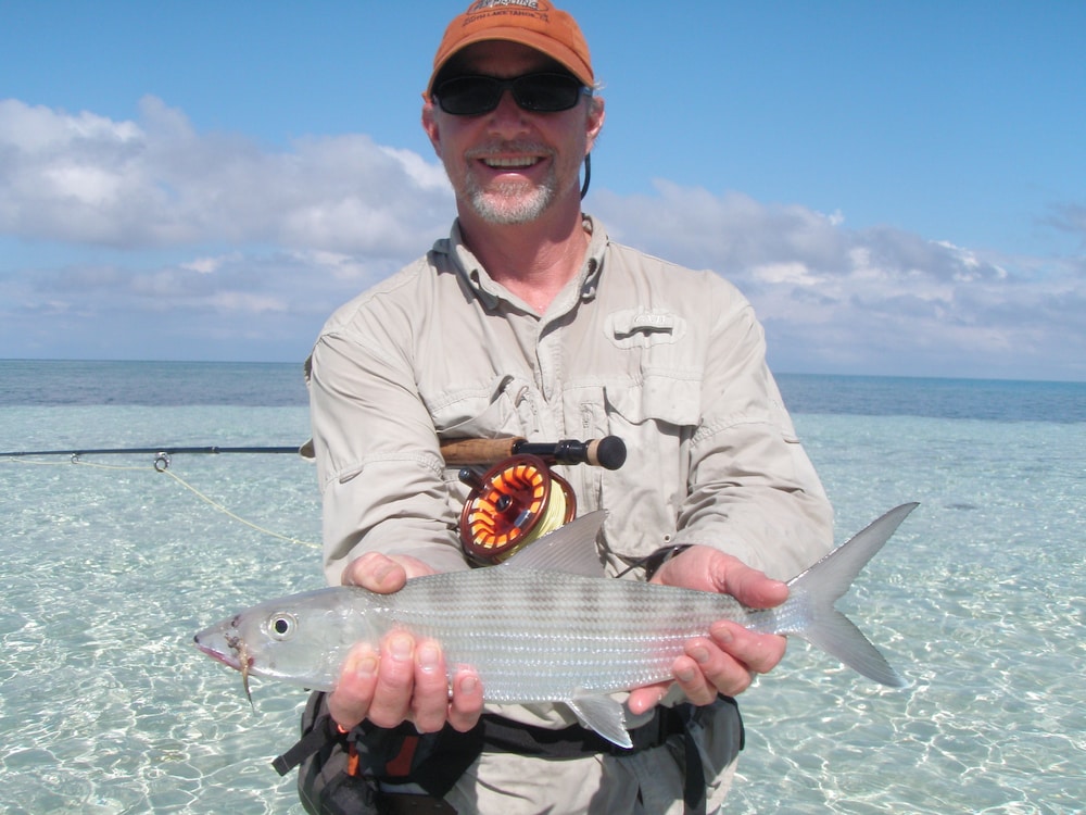 Cotton Tree Lodge - Property Image 64