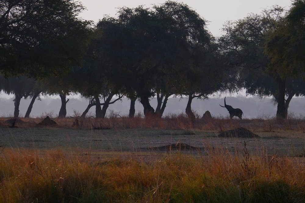 Mwinilunga Safaris