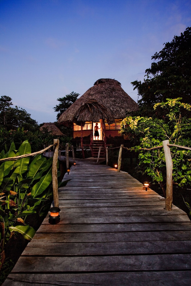 Cotton Tree Lodge - Property Image 7