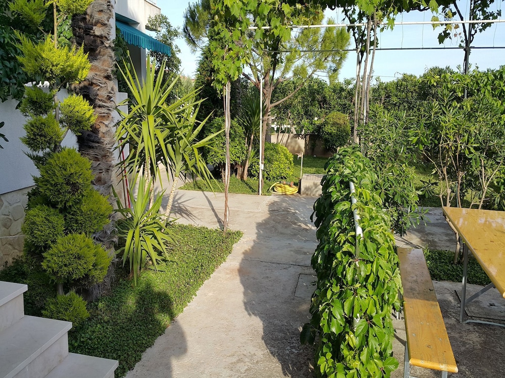 Photo 17