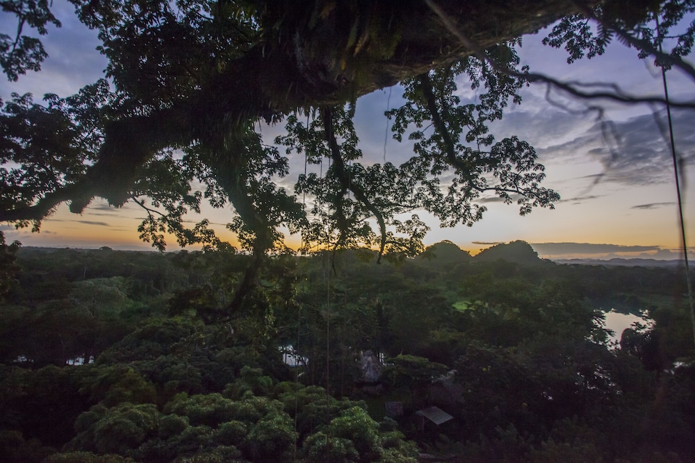 Cotton Tree Lodge - Property Image 62