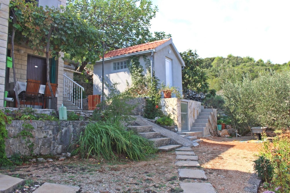 Photo 46