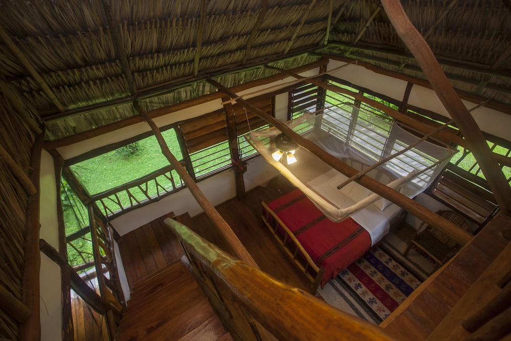 Cotton Tree Lodge - Property Image 3