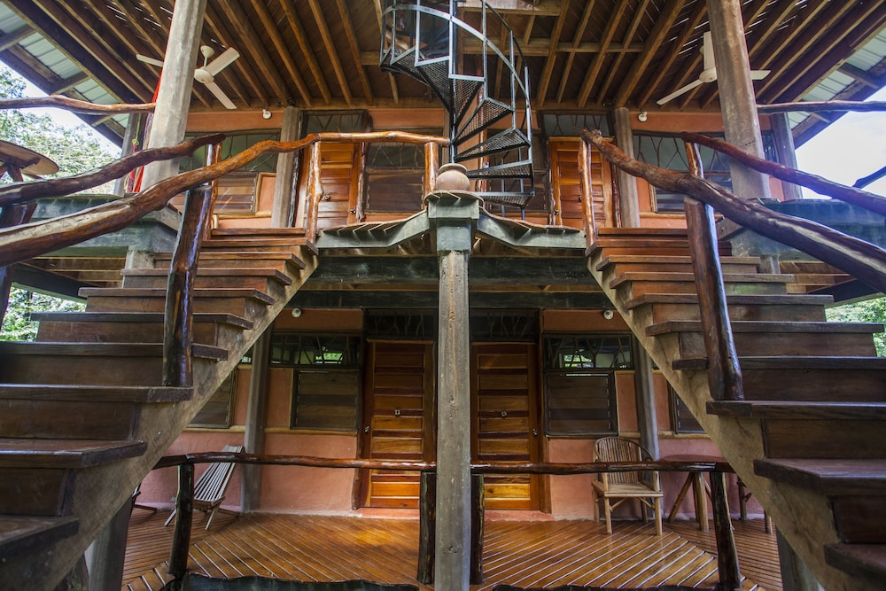 Cotton Tree Lodge - Property Image 42