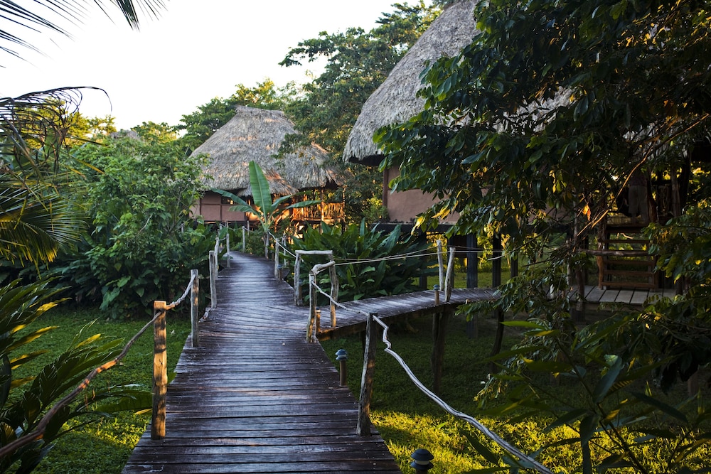 Cotton Tree Lodge - Property Image 23