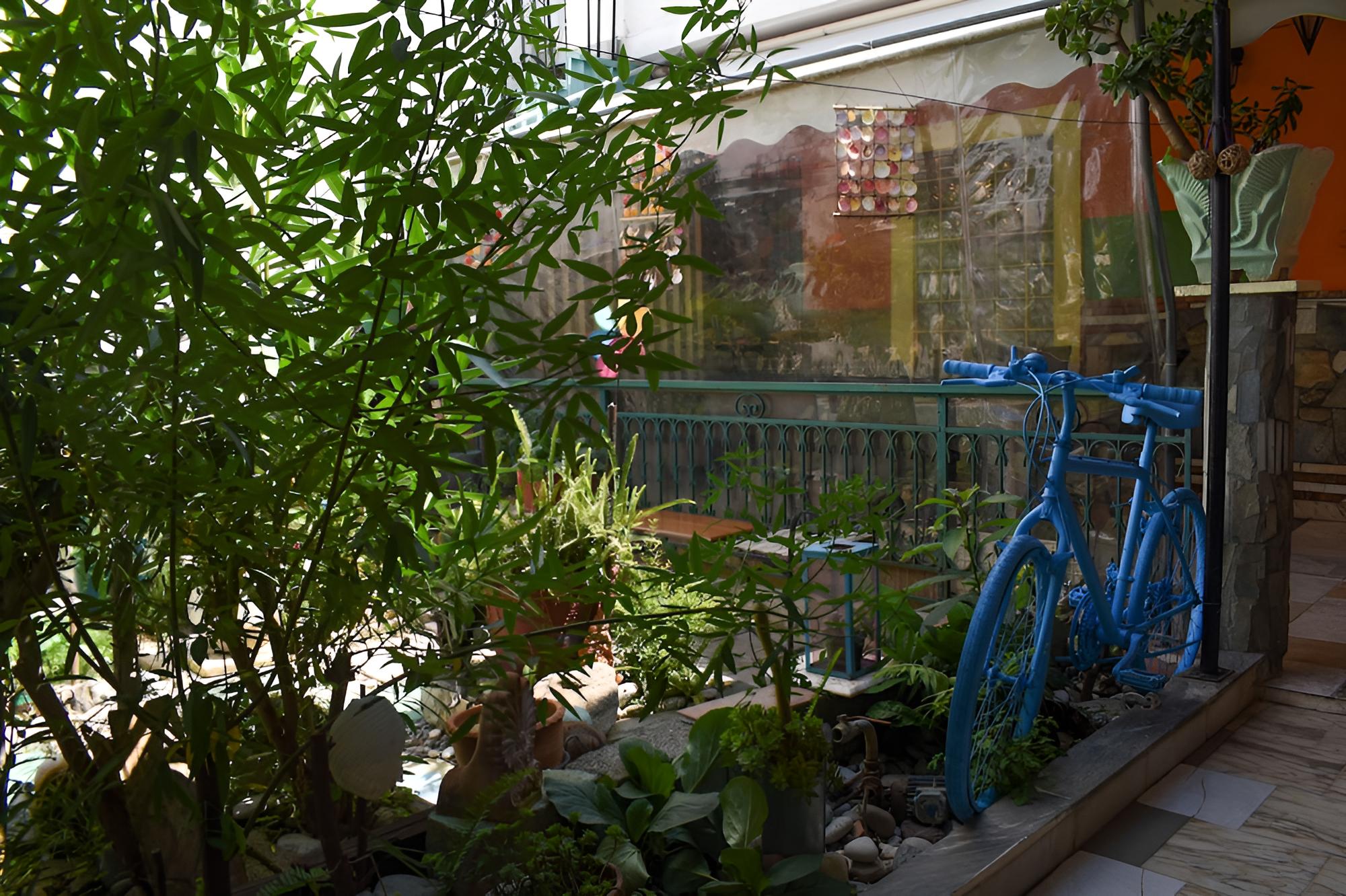Urban Seaside Oasis - Adriana's Garden Paradise