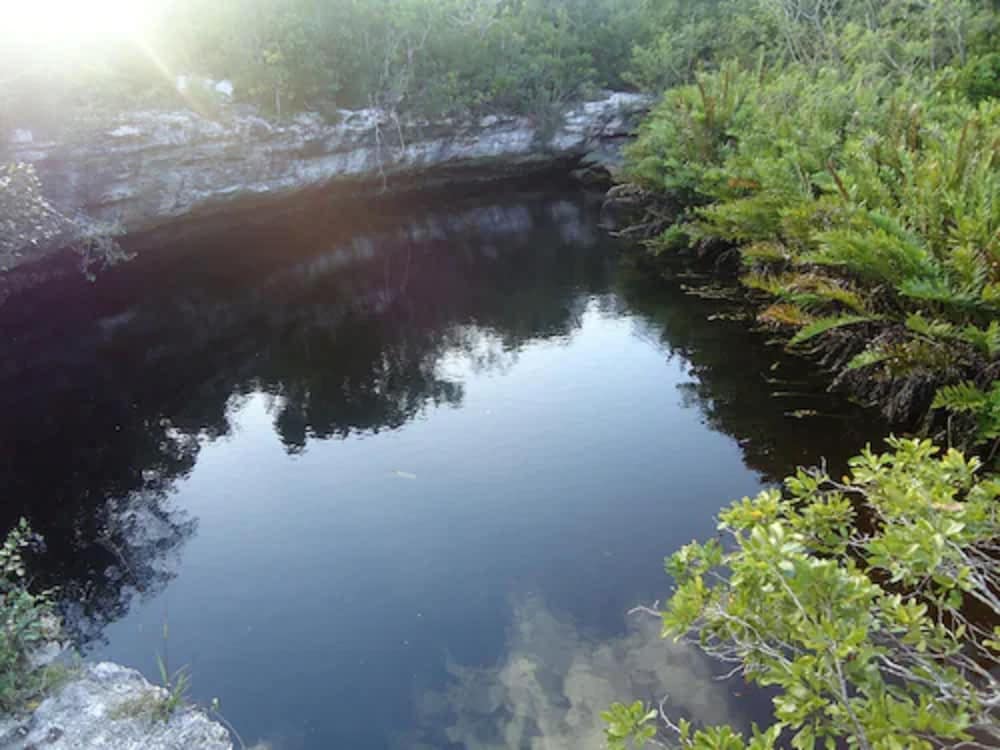 Cat Island Vacations - Orange Creek Inn - Property Image 5