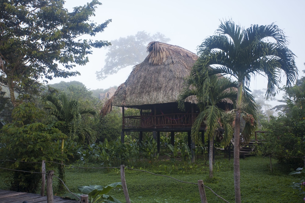 Cotton Tree Lodge - Property Image 39