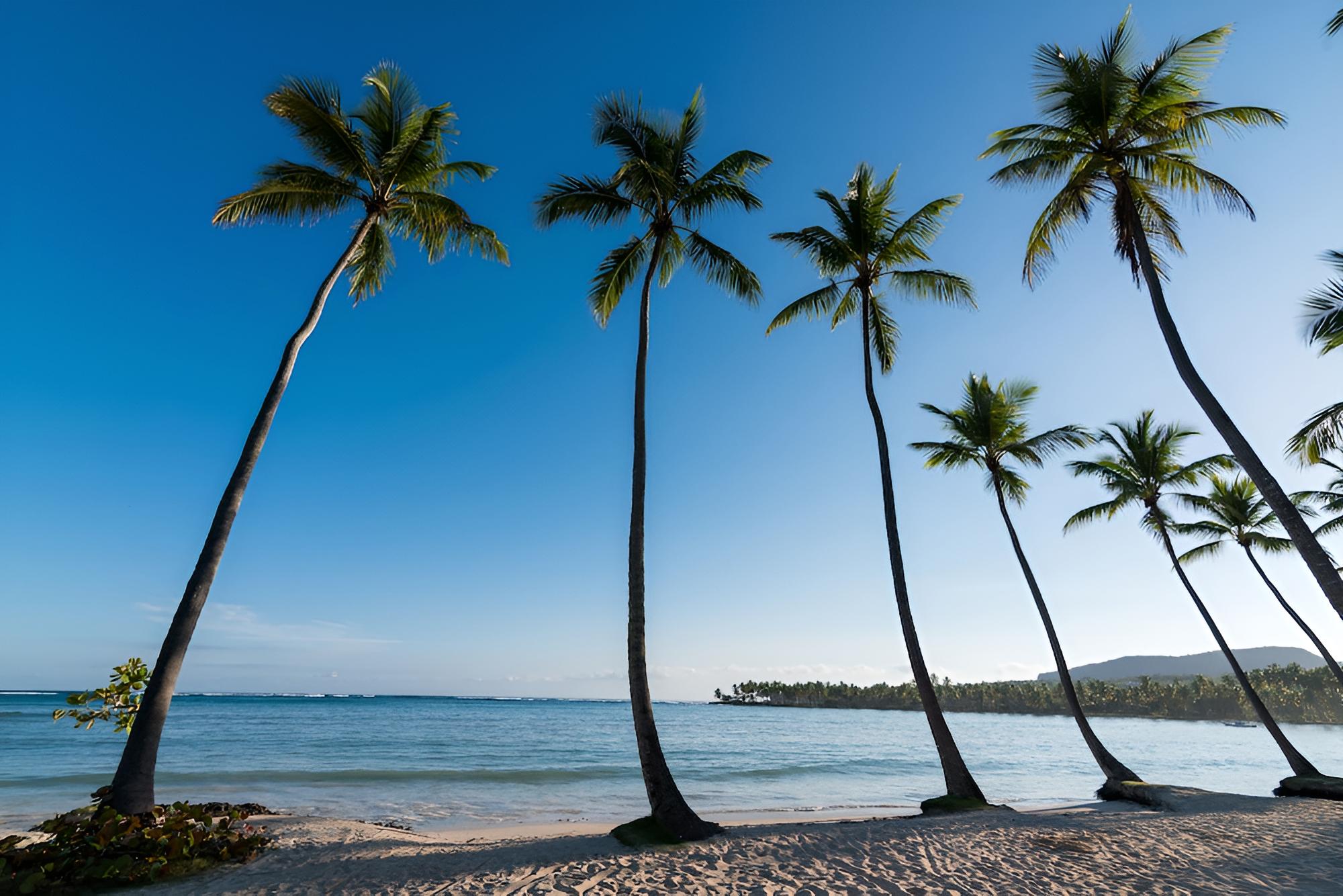 Select at Grand Paradise Samana - All Inclusive