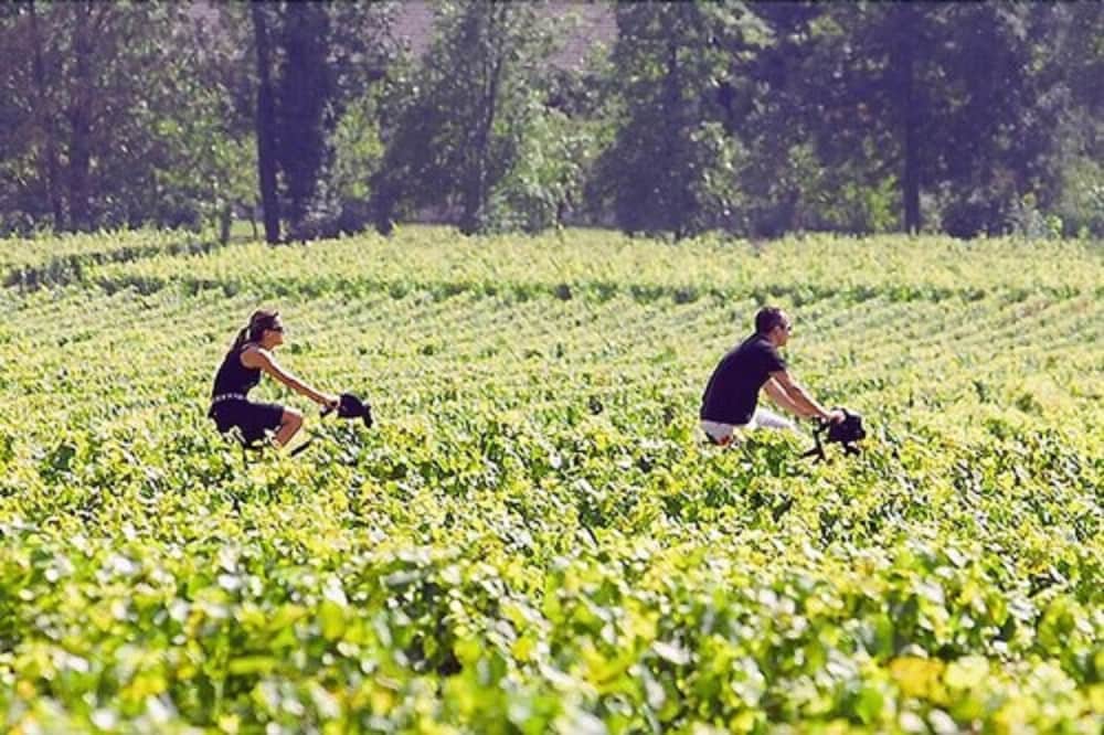 Les Sources de Cheverny 46