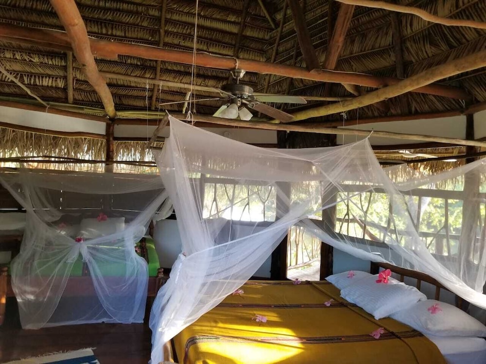 Cotton Tree Lodge - Property Image 52