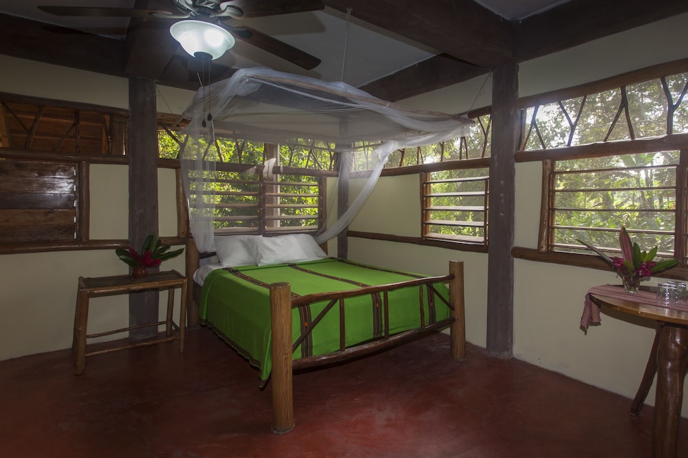 Cotton Tree Lodge - Property Image 63