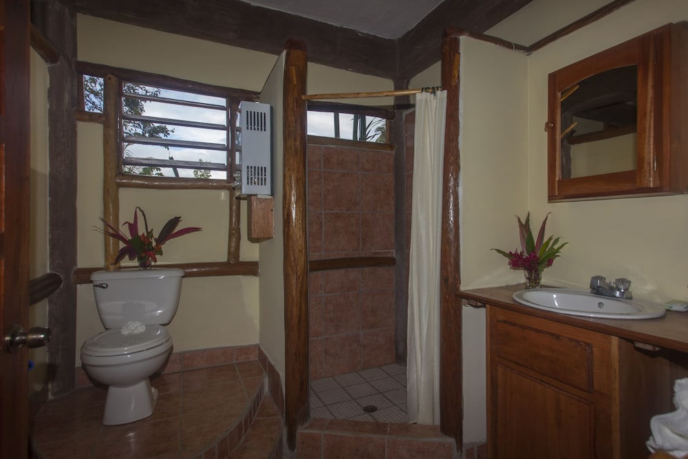 Cotton Tree Lodge - Property Image 20