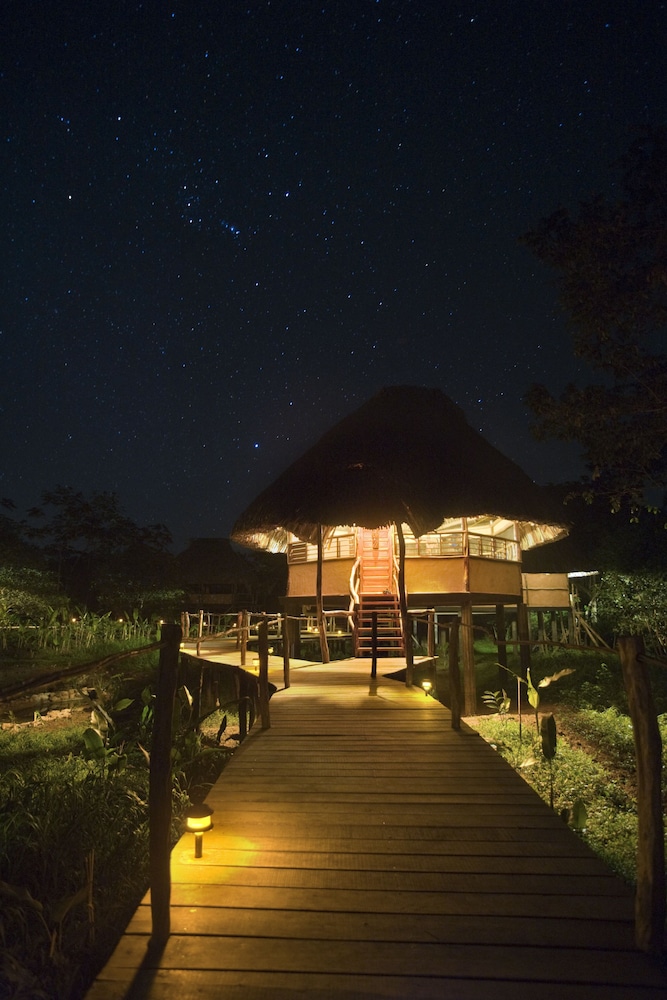 Cotton Tree Lodge - Property Image 47