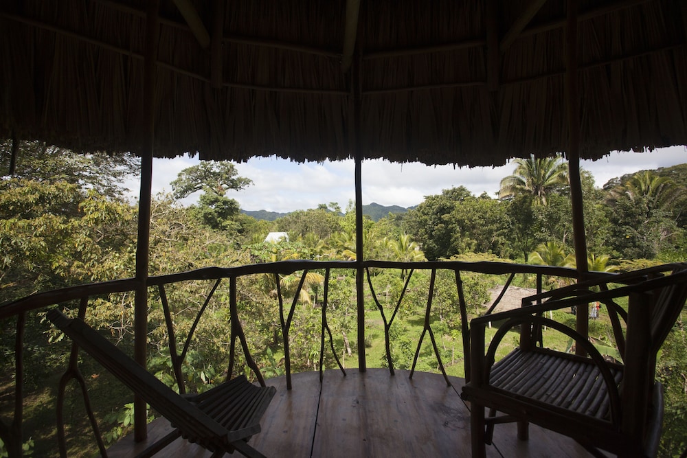 Cotton Tree Lodge - Property Image 75
