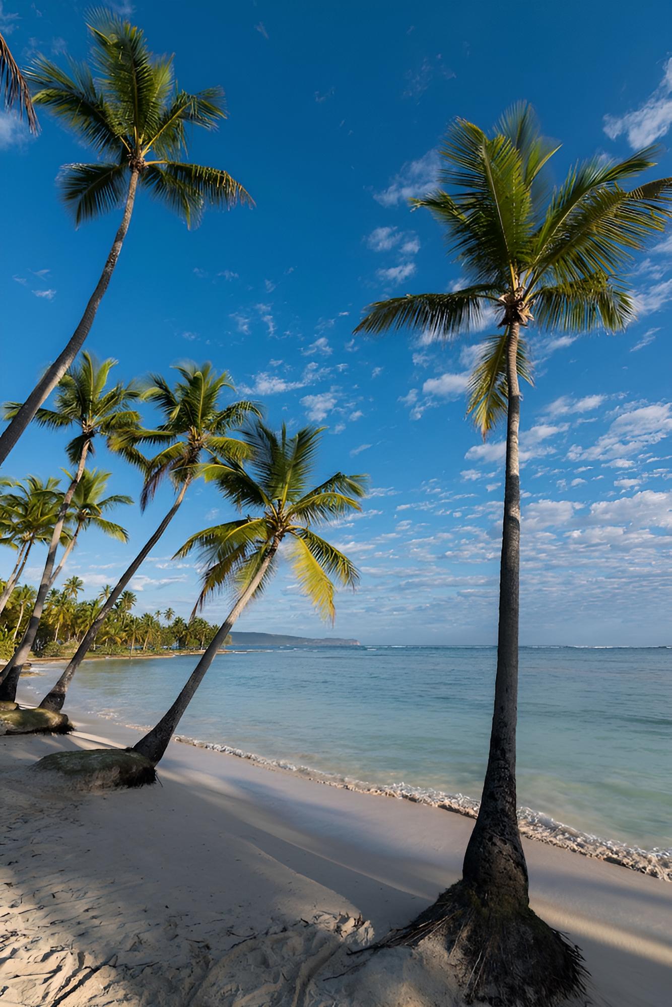 Select at Grand Paradise Samana - All Inclusive