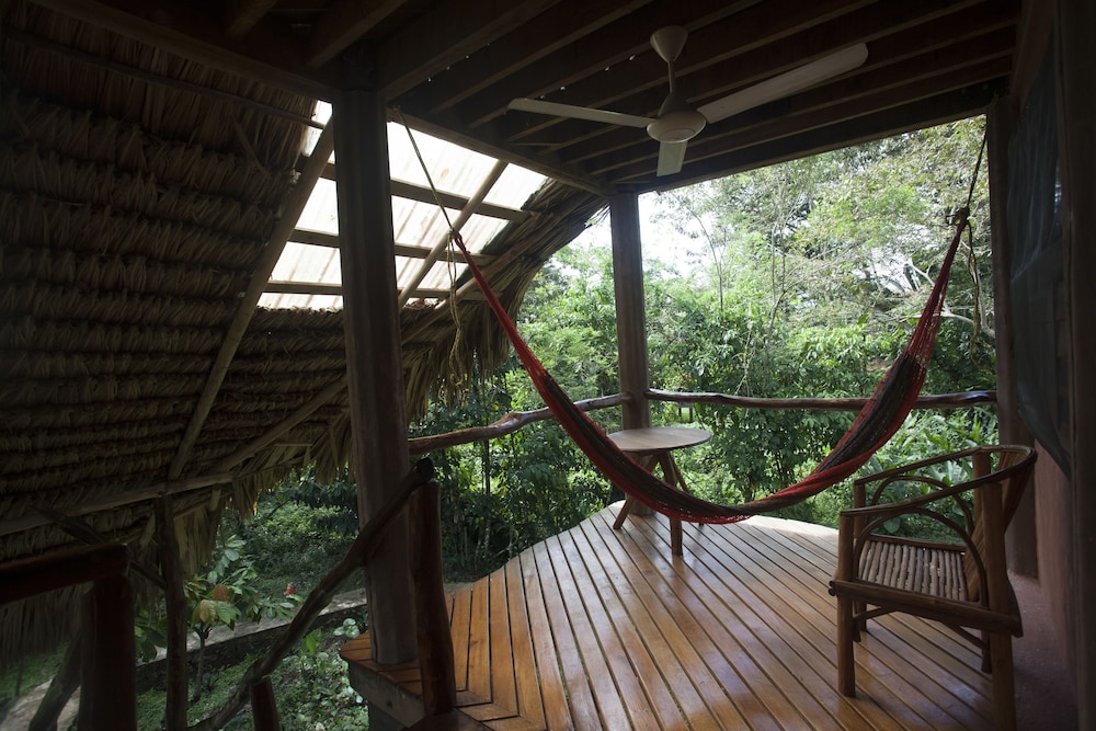 Cotton Tree Lodge - Property Image 30